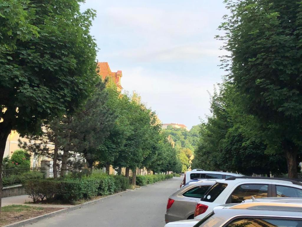Apatrhostel Brno Extérieur photo